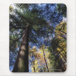 Altes Wachstums-Wald Mousepad