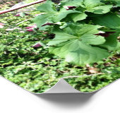 Altes Wagenrad Trillium Blumengarten Poster (Ecke)