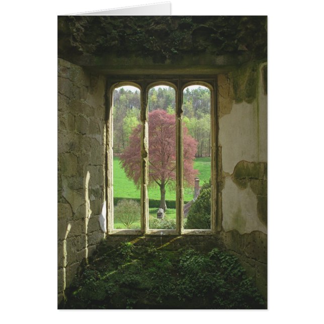 Altes Wardour Schloss (Vorne)