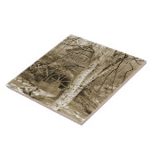 Altes Wasserrad Fliese (Seite)