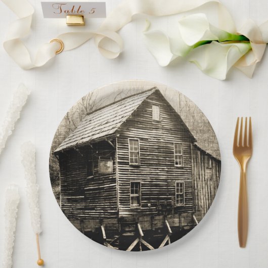 Altes Wasserrad Pappteller (Hochzeit)