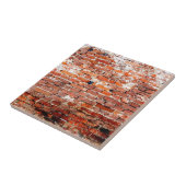 Altes Ziegelstein-Chic Fliese (Seite)