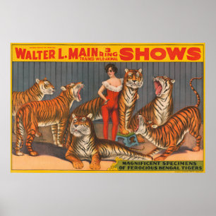 Altes Zirkusplakat einer Frau mit sechs Tigern. Poster