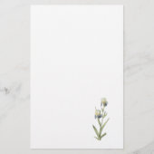 Ältest-duftende Iris (Iris sambucina) durch Briefpapier (Vorderseite)