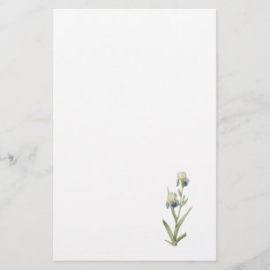 Ältest-duftende Iris (Iris sambucina) durch Briefpapier
