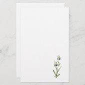 Ältest-duftende Iris (Iris sambucina) durch Briefpapier (Vorne/Hinten)