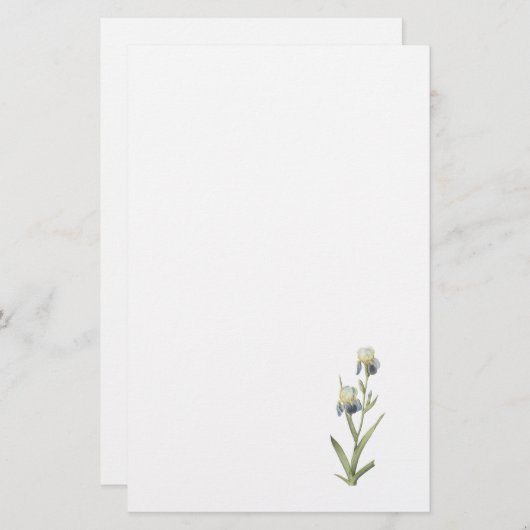 Ältest-duftende Iris (Iris sambucina) durch Briefpapier (Vorne/Hinten)