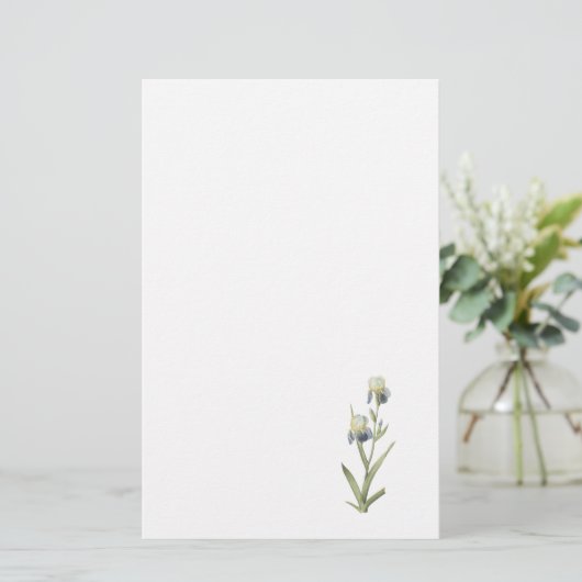 Ältest-duftende Iris (Iris sambucina) durch Briefpapier (Stehend Vorderseite)