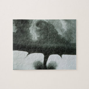 Älteste bekannte Fotografie eines Tornados ab 188 Puzzle