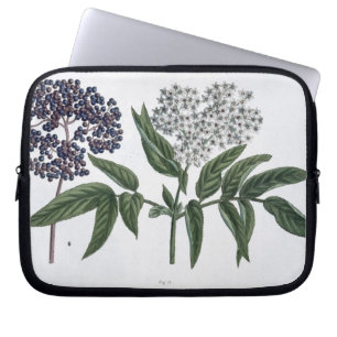 Ältestes, Fig. 13 "vom jungen Landsman", publishe Laptopschutzhülle