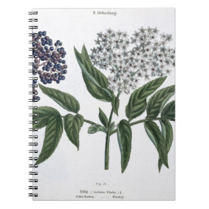 Ältestes, Fig. 13 "vom jungen Landsman", publishe Notizblock