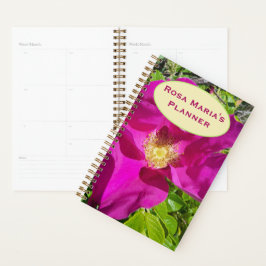 Althergebrachter Kletterplan Planer