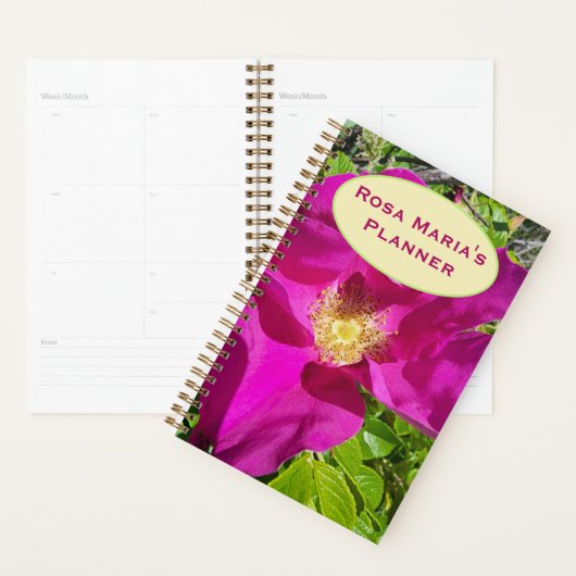 Althergebrachter Kletterplan Planer (Anzeige)