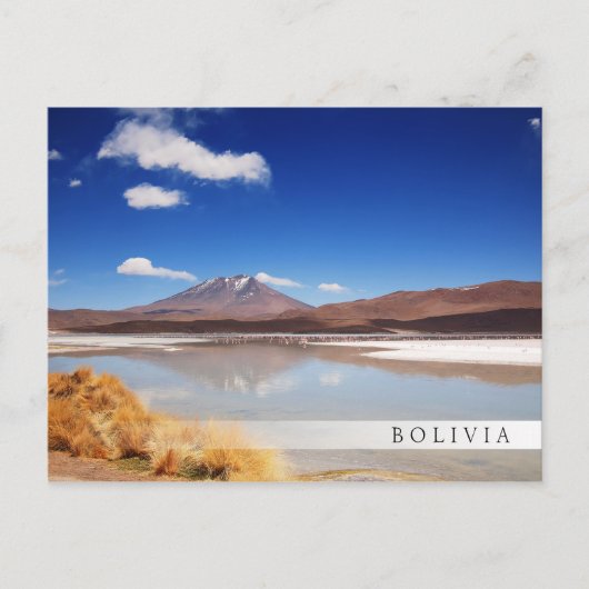 Altiplano Landschaft mit Vulkan in Bolivien Postkarte (Vorderseite)