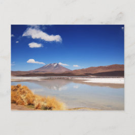 Altiplano Landschaft mit Vulkan in Bolivien Postkarte
