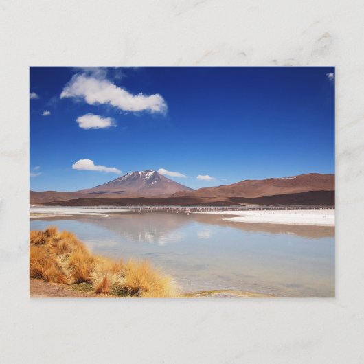 Altiplano Landschaft mit Vulkan in Bolivien Postkarte (Vorderseite)
