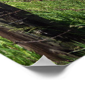 Altland-Zaun-Post Poster (Ecke)