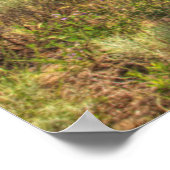 Altlastwagen auf dem Feld verlassen Poster (Ecke)