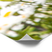 AltLeuchtturm, am Kalamazosee, Saugatuck Poster (Ecke)