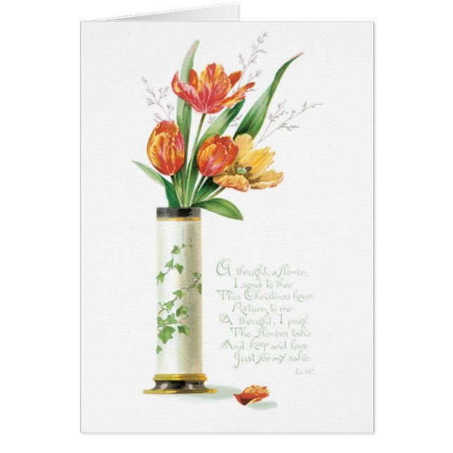 Altmodische Weihnachten, Tulpen (Vorne)