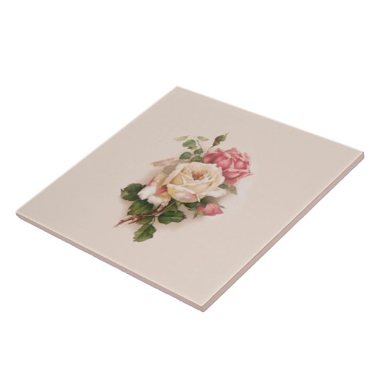 Altmodischer weißer/rosa Rosen-Buff Hintergrund Fliese (Seite)