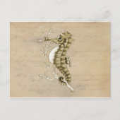 Altmodisches Seepferd auf Vintagem Postkarte (Vorderseite)