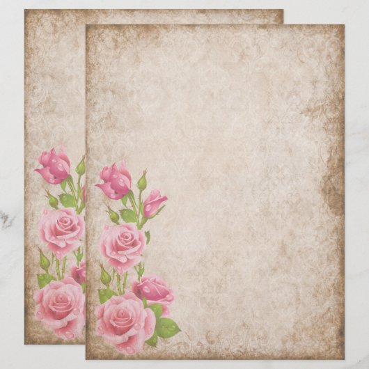 Altpapiergeschirr (Vorne/Hinten)