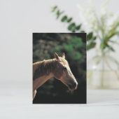 Altpinto Postkarte (Stehend Vorderseite)