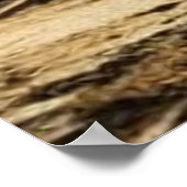 Altstadt Abandoned Stadt Main Street 19 Jahrhunder Poster (Ecke)