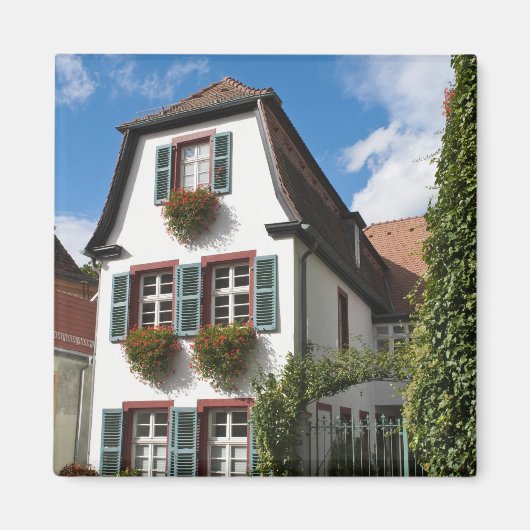 Altstadt Heidelberg, Deutschland Magnet (Vorne)