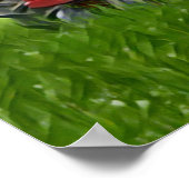 Alttraktor Poster (Ecke)