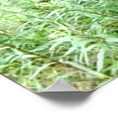 Alttraktor Poster (Ecke)