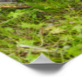 Altwagenrad in der historischen Altstadt von Gold Poster (Ecke)