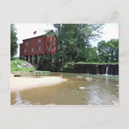 Alvin C York Postcard Postkarte (Vorderseite)