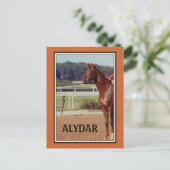 Alydar Belmont Stakes Post Parade 1978 Postkarte (Stehend Vorderseite)