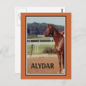 Alydar Belmont Stakes Post Parade 1978 Postkarte (Vorne/Hinten)