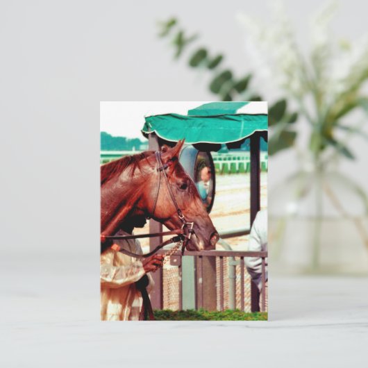 Alydar Thoroughbred 1979 Postkarte (Stehend Vorderseite)