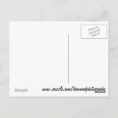 Alydar Thoroughbred 1979 Postkarte (Rückseite)