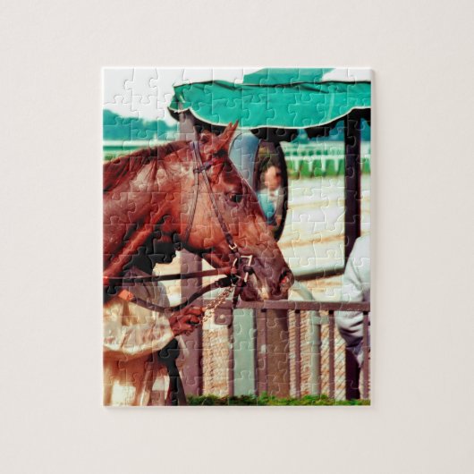 Alydar Thoroughbred 1979 Puzzle (Vertikal)