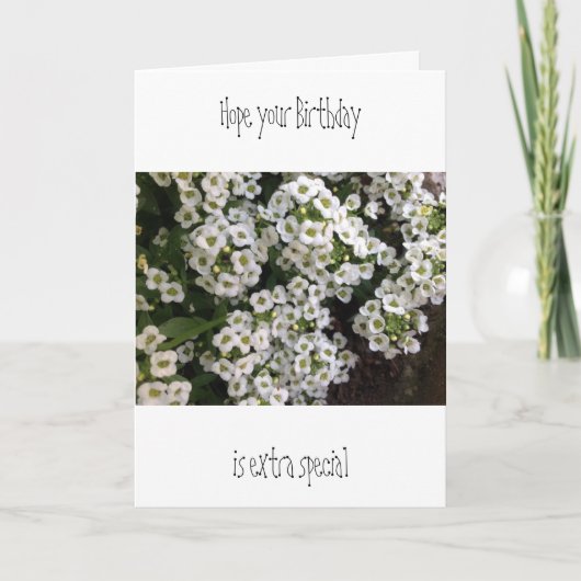 Alyssum Birthday Card Karte (Vorderseite)