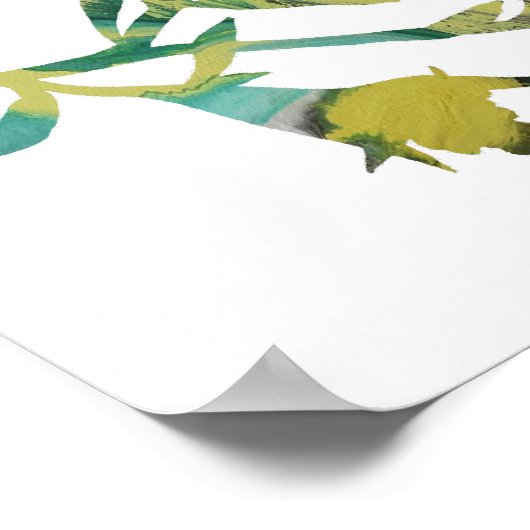 Alyssum Poster (Ecke)