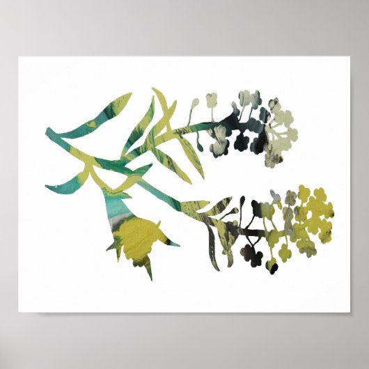 Alyssum Poster (Vorne)