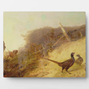 Am 1. Oktober spazieren Sie zu den Fasaniern (sieh Fotoplatte