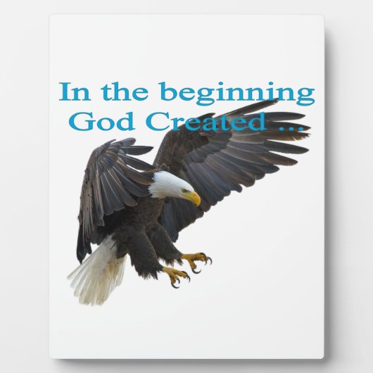 Am Anfang Fotoplatte (Vorderseite)