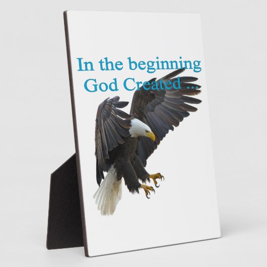 Am Anfang Fotoplatte (Seite)