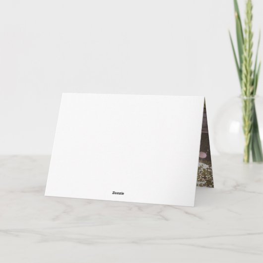 Am besten. Papa. Immer. Foto-Karte des Vaters Karte (Rückseite)