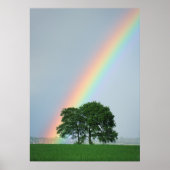 Am Ende des Regenbogens... Poster (Vorne)