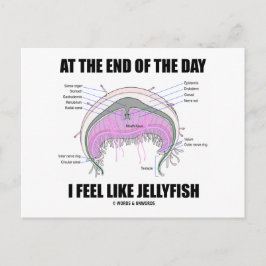 Am Ende des Tages fühle ich mich wie Quallen Postkarte