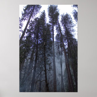 Am Fuße von Half Dome - Yosemite Poster