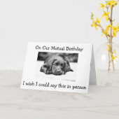 AM "GEGENSEITIGEN GEBURTSTAG" WÜNSCHTE ES SICH IN KARTE (Gelbe Blume)